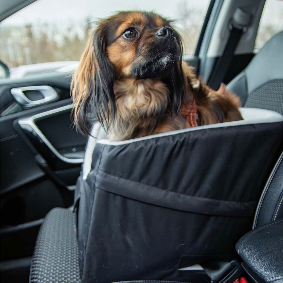 Autoistuin koiralle Trixie