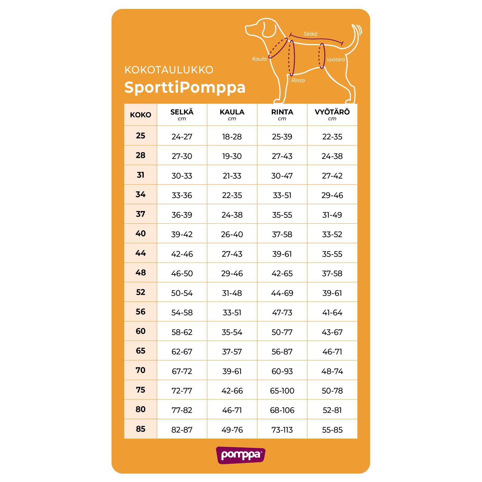 SporttiPomppa Graphite