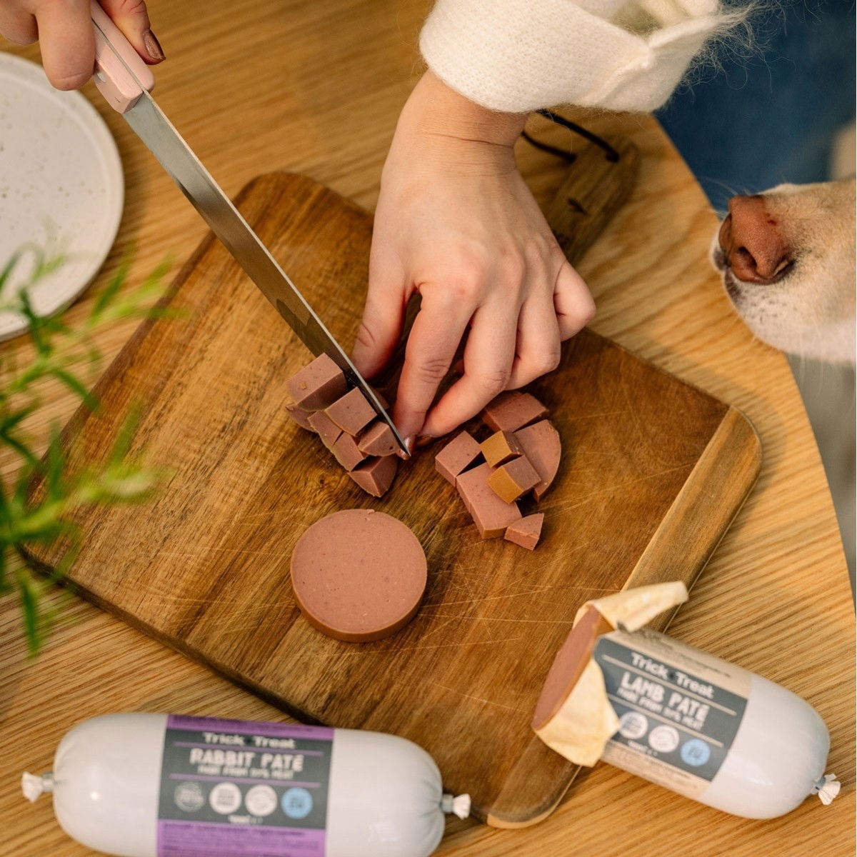 Trick&Treat Paté Treenimakkara Ankka