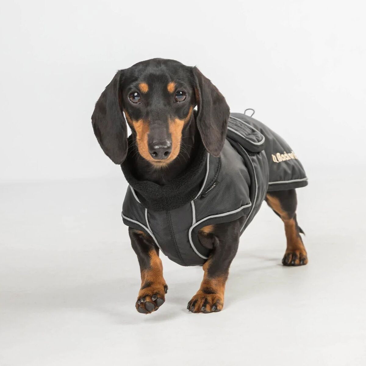 Back On Track Buddy Long Dog Coat, black