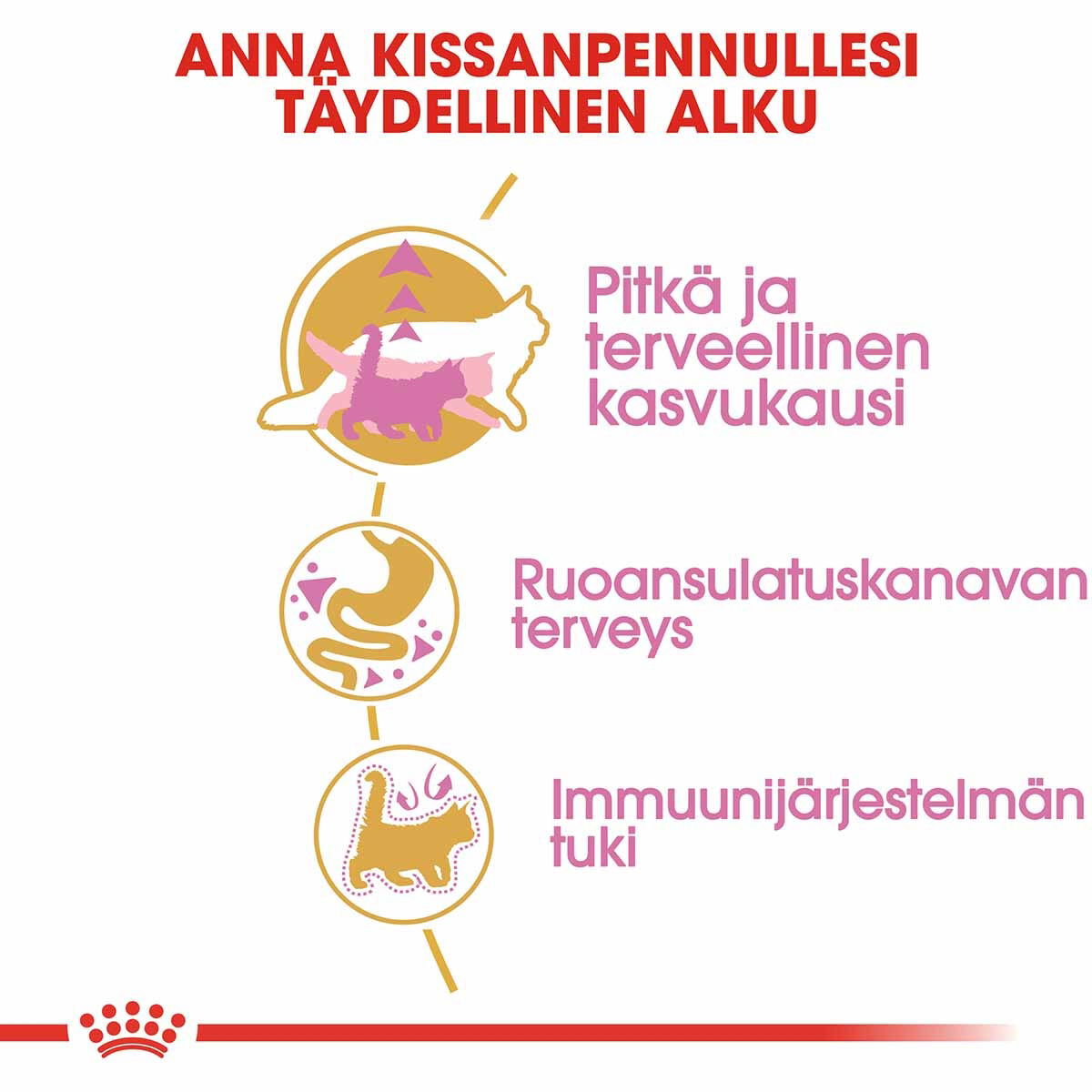 Royal Canin Maine Coon Kitten kissanpennun kuivaruoka