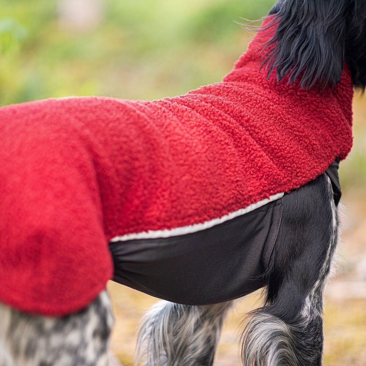 PolarPomppa Rowanberry