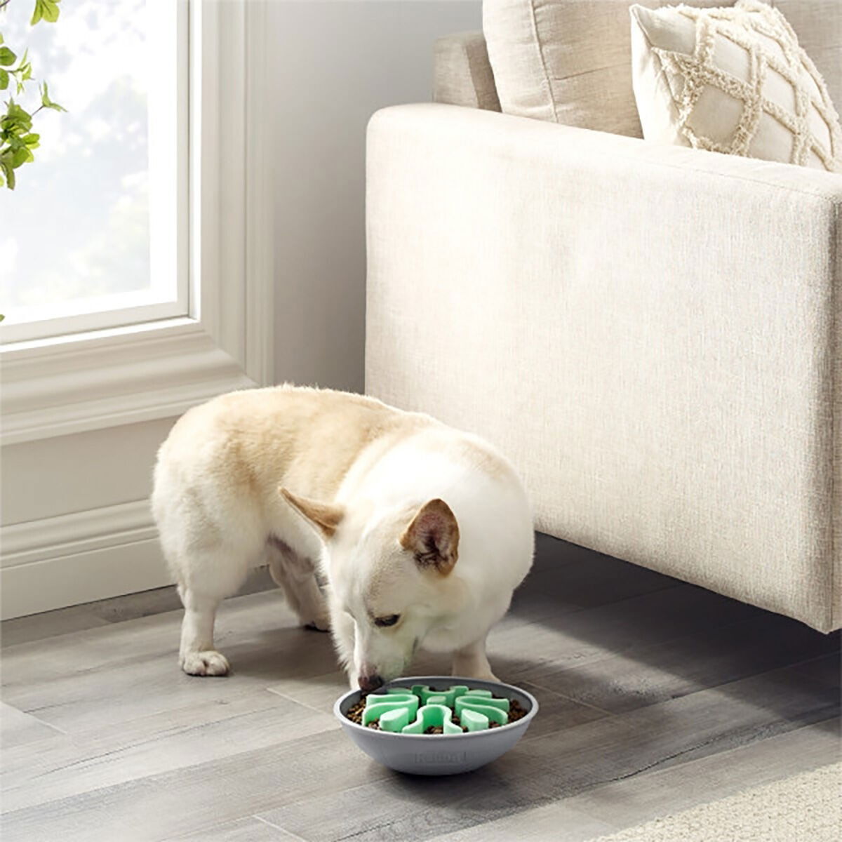 Slow feeder Outward Hound Wobble bowl