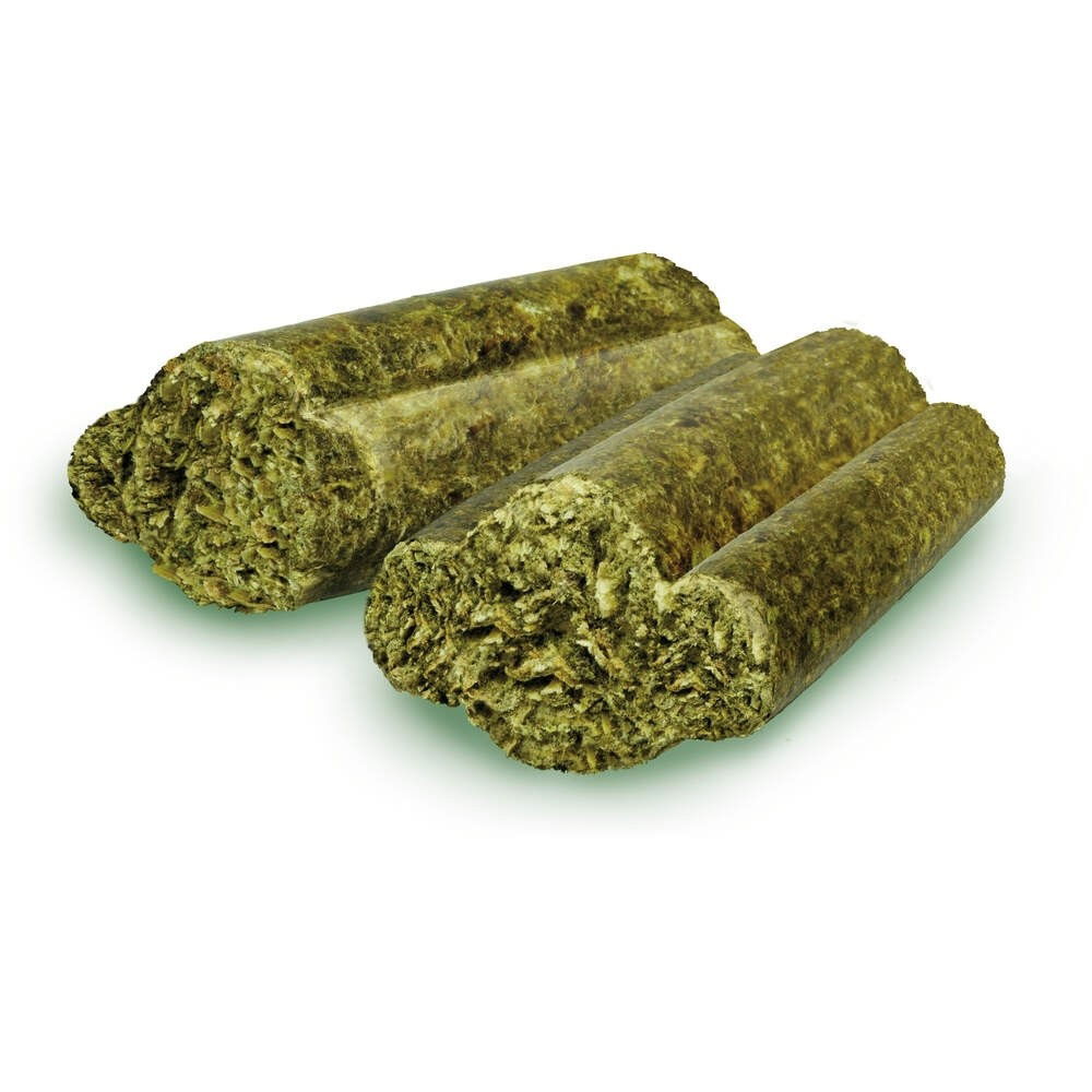 Bunny RabbitDream Senior