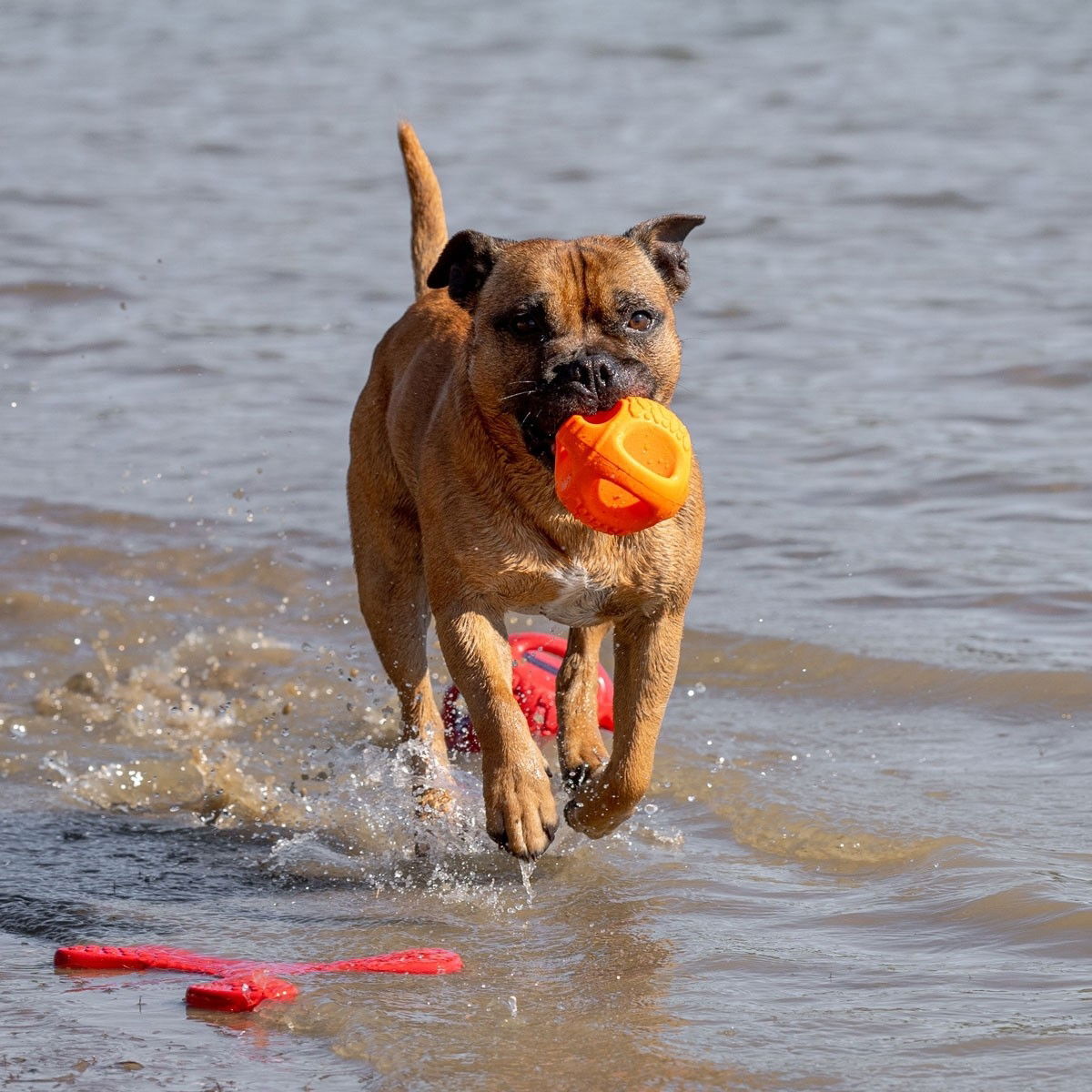 N-Gage Hydro Handler oranssi M