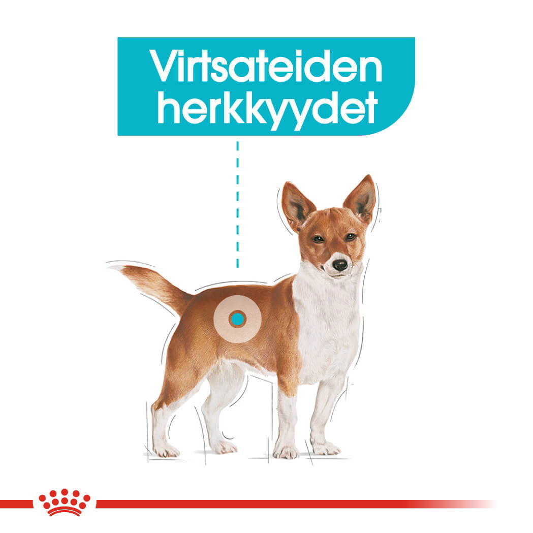 Royal Canin Urinary Care Mini Adult koiran kuivaruoka