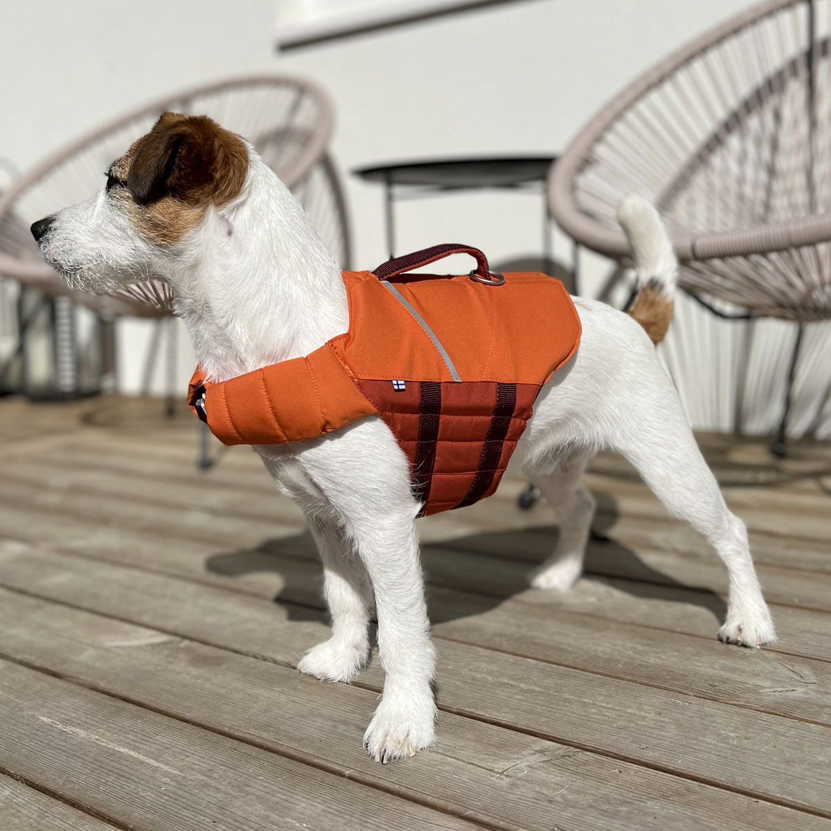 Hurtta Life Savior ECO, buckthorn