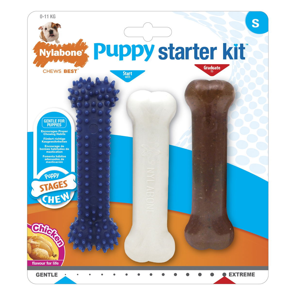 Nylabone Puppy Aloituspakkaus