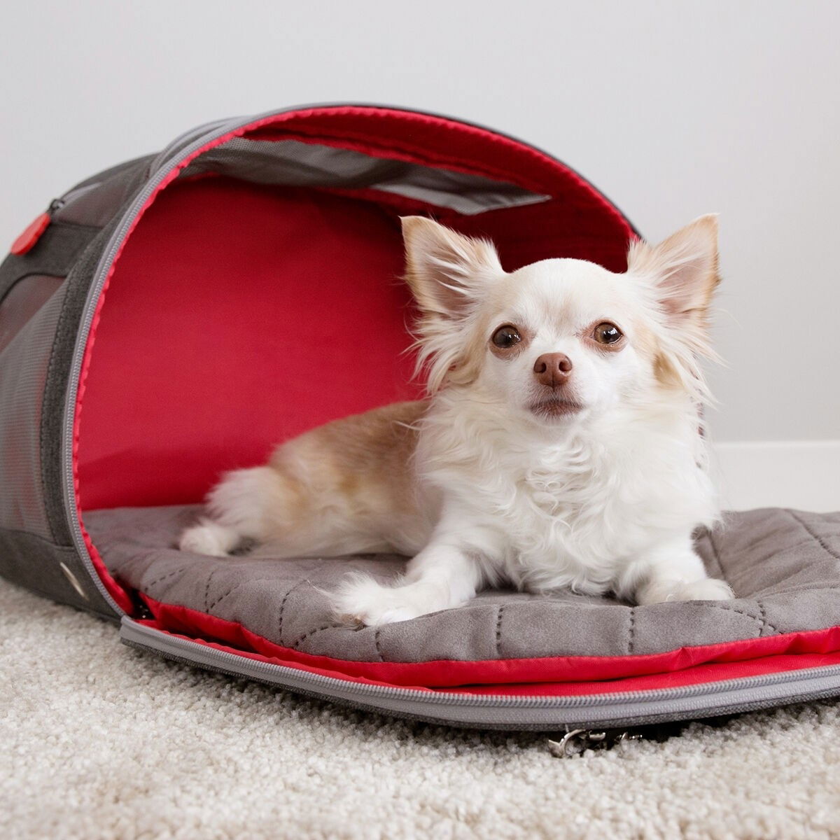 KONG 2-In-1 Pet Carrier&Trvl Mat