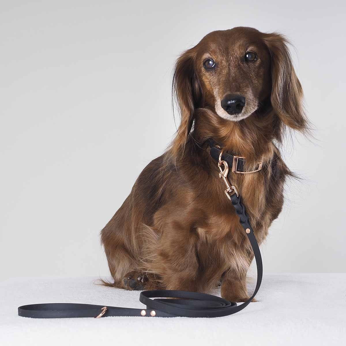 Tyylivoitto Classy panta kapea, musta/ruusukulta