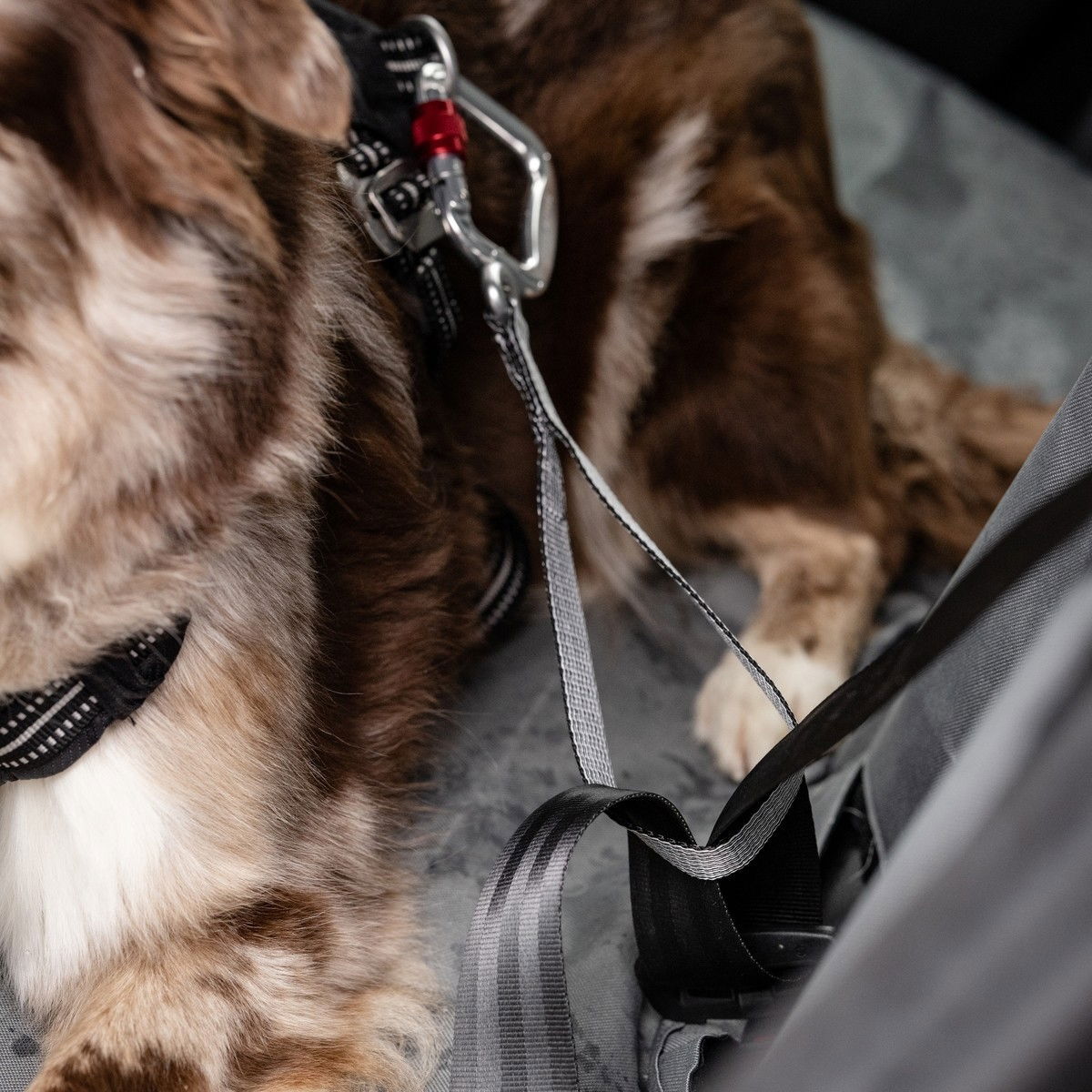 Feel Active Car Heavy Duty turvavyökiinnike L