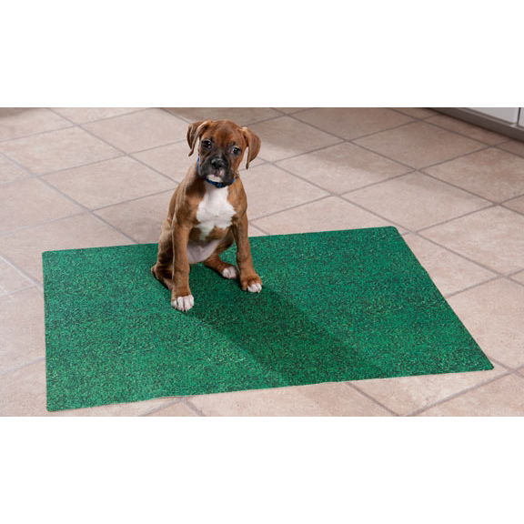 Pissa-alusta Drymate Potty Pad Green 70 x 50 cm