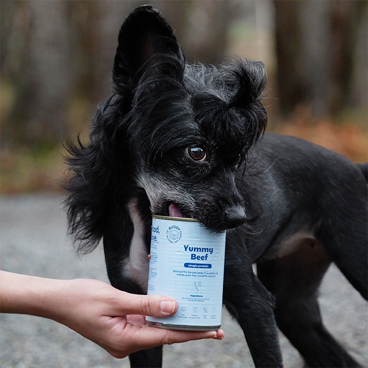 Buddy Yummy Beef 400g