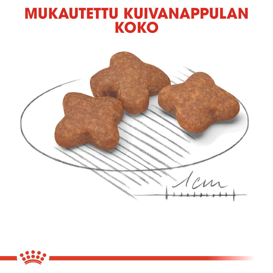 Royal Canin Mini Adult 8+ koiran kuivaruoka