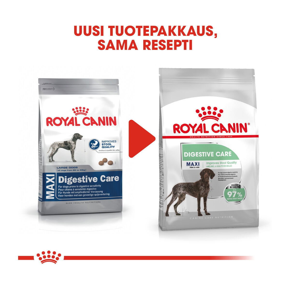 Royal Canin Maxi Digestive Care