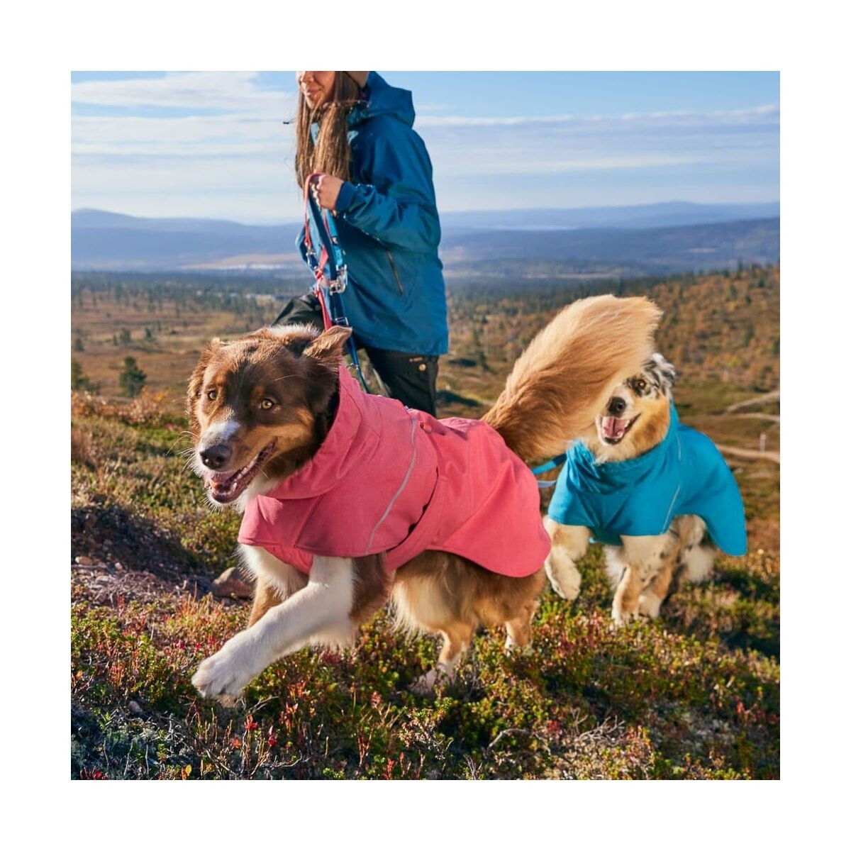 Hurtta Expedition Parka II talvitakki punainen