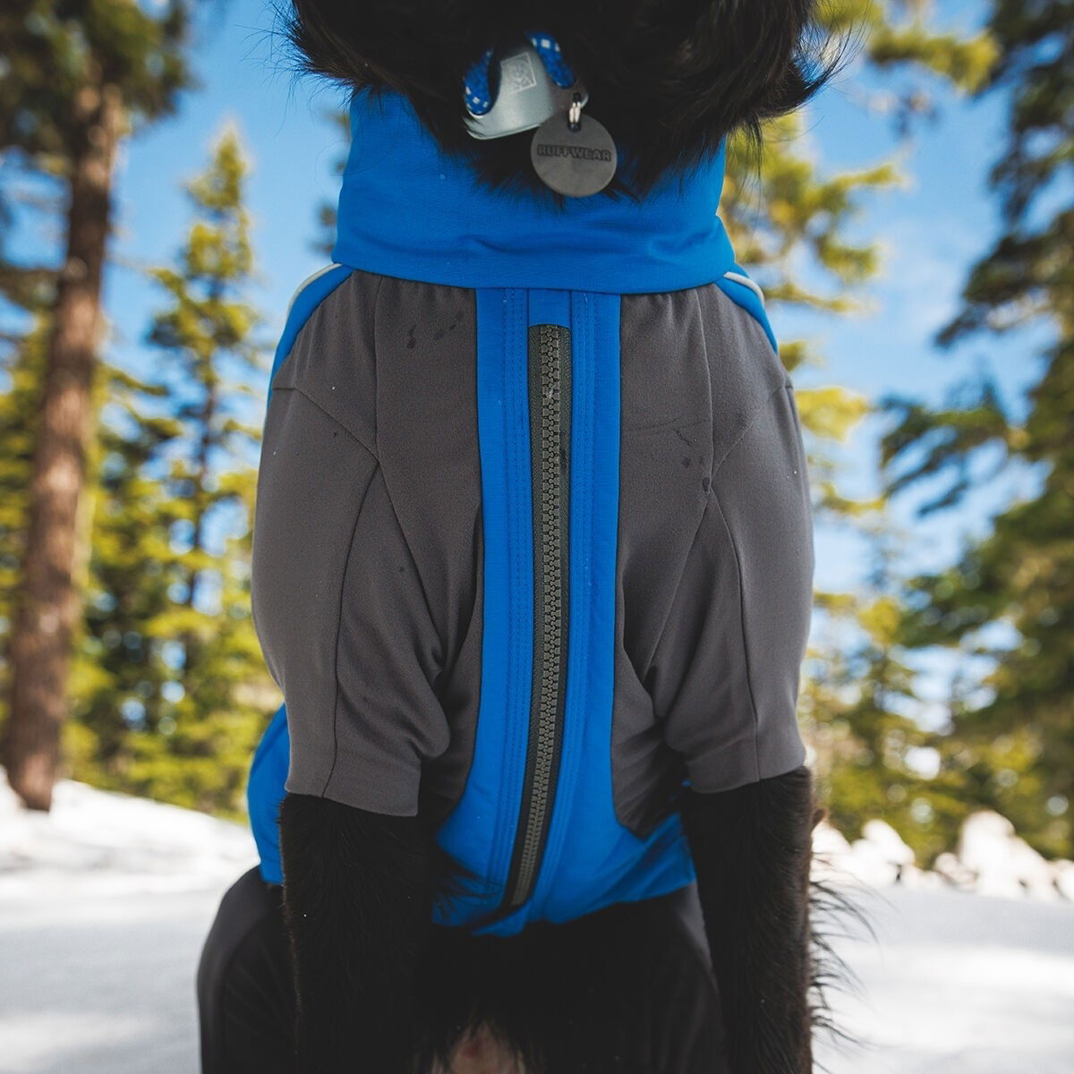 Ruffwear Vert Coverall Blue Pool