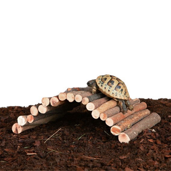 Trixie pajusilta jyrsijälle 51x30 cm