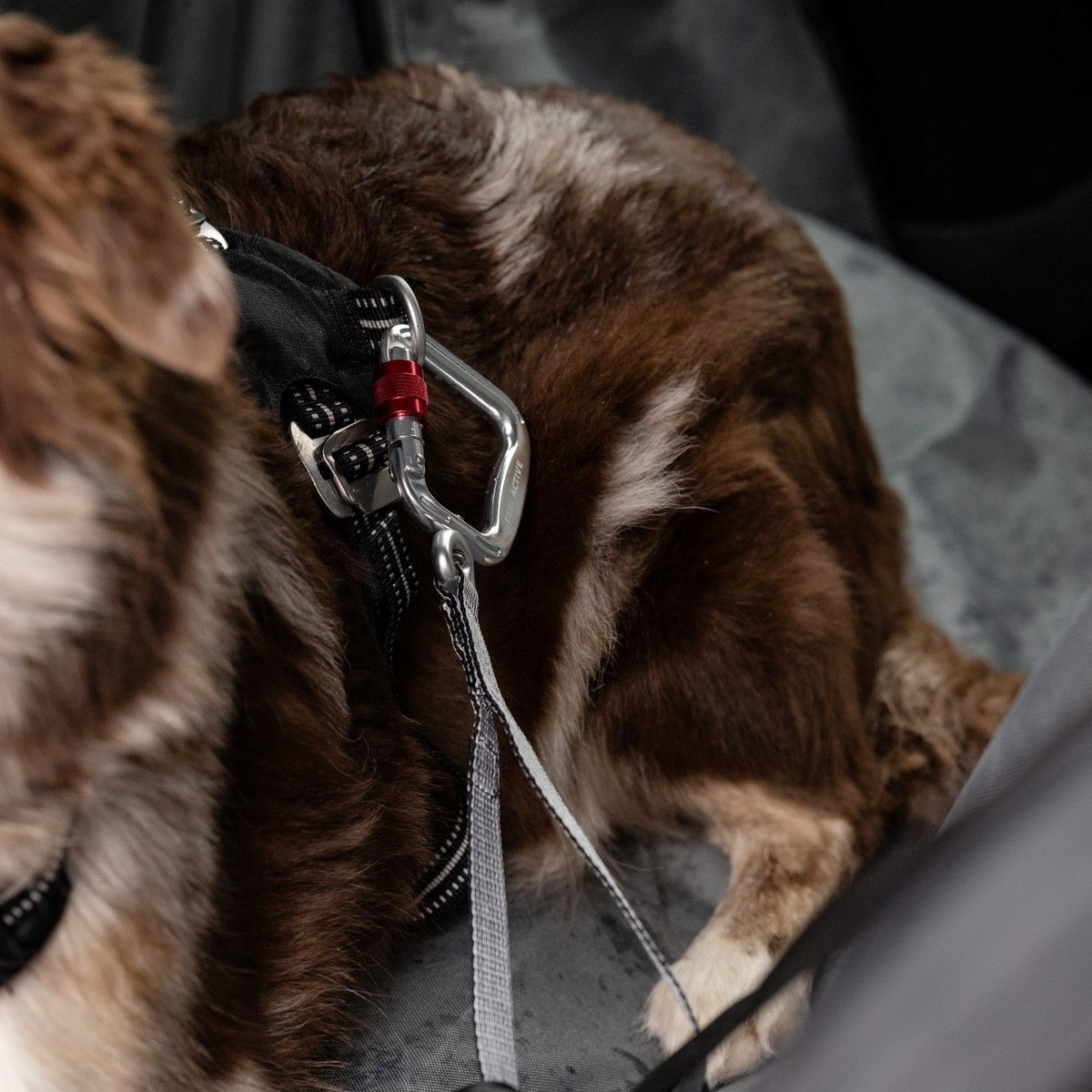 Feel Active Car Heavy Duty turvavyökiinnike L