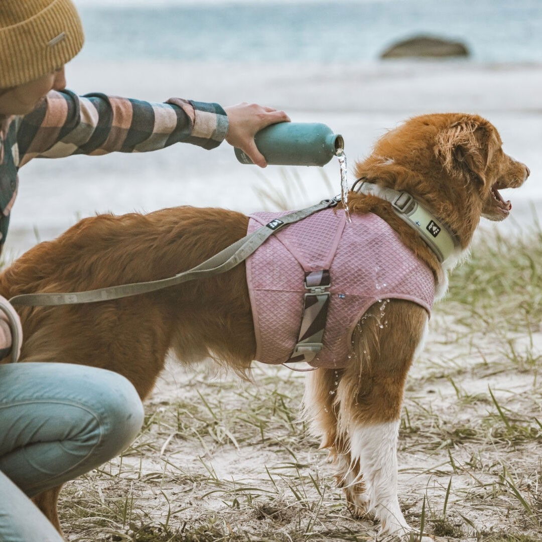 Hurtta Cooling Wrap liivi pink