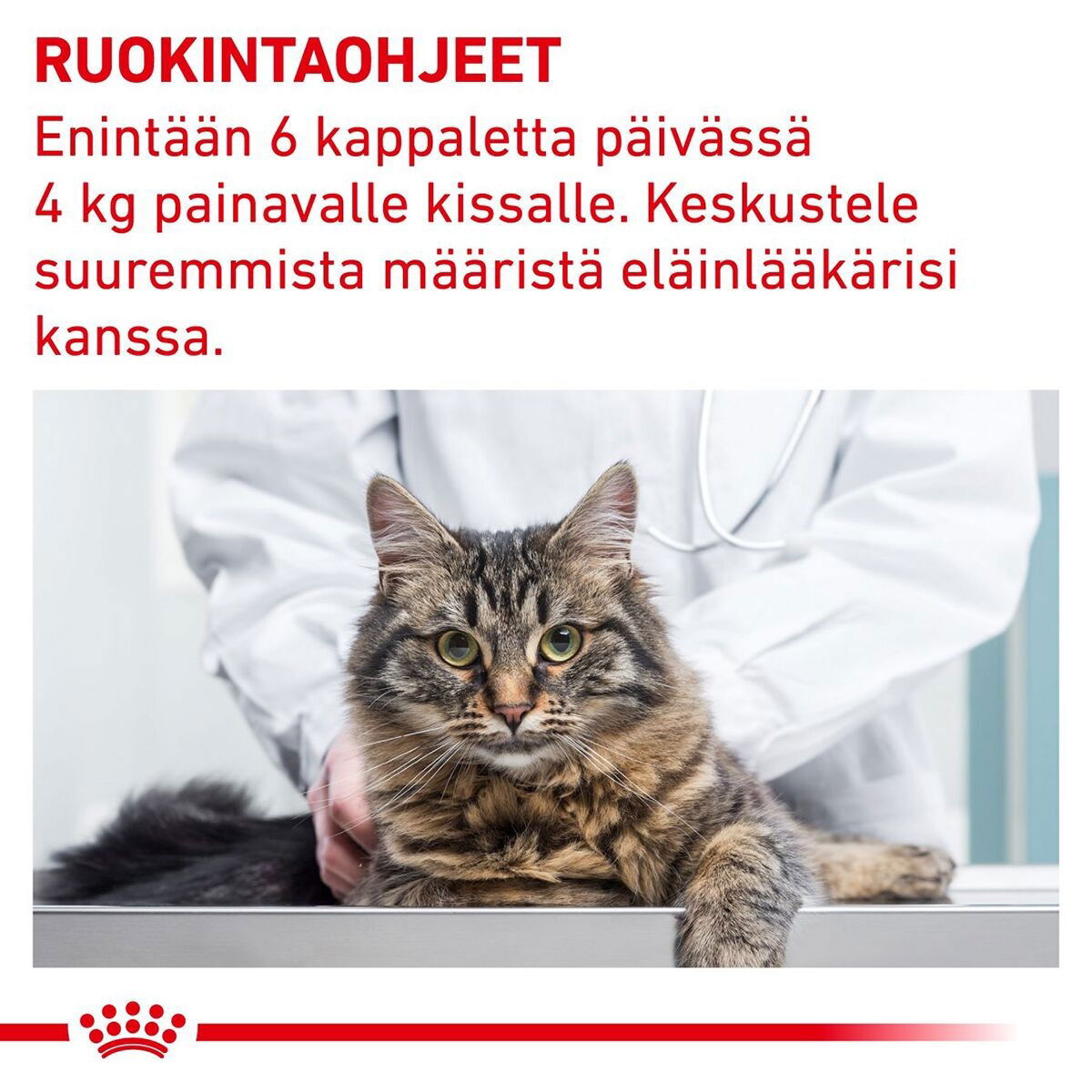 Royal Canin Veterinary Diets Cat Pill Assist 45g