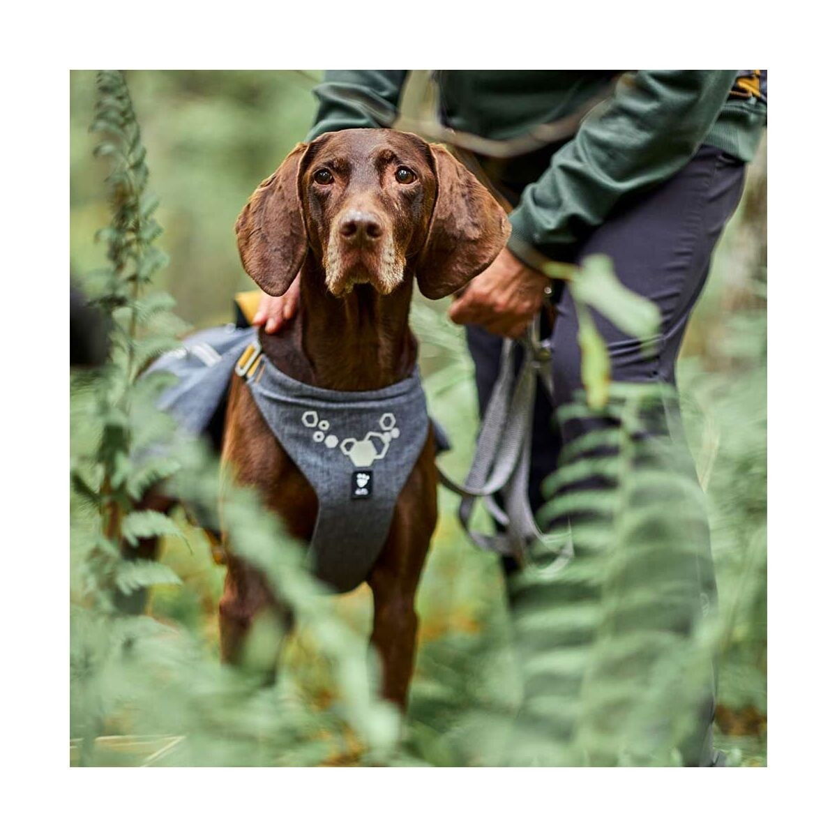 Hurtta Expedition Pack  valjas ECO harmaa