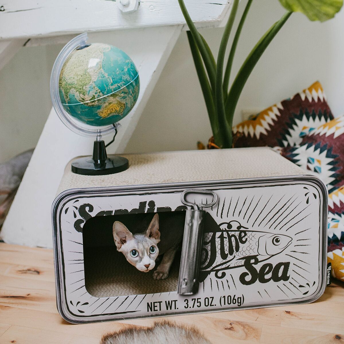 Cardboard scratcher District 70 Sardine