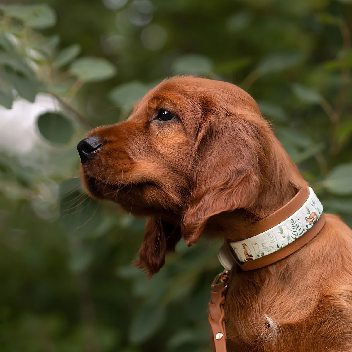 Tyylivoitto collar extender, cognac