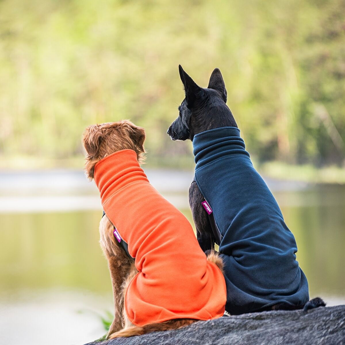 JumppaPomppa Midnight