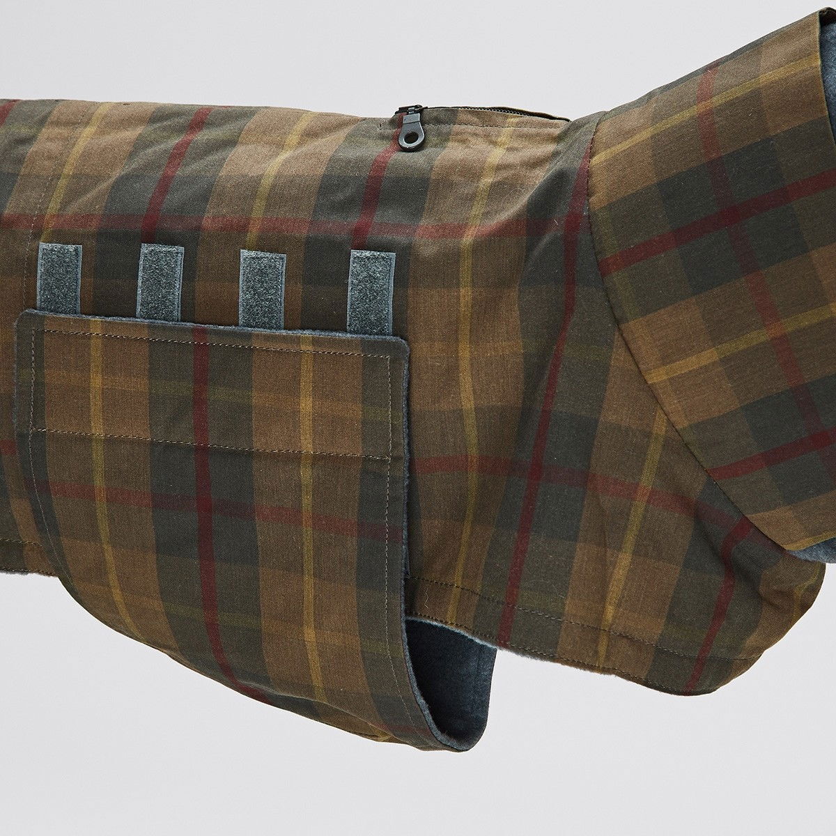 Cloud7 Dachshund Brooklyn, Waxed Tartan