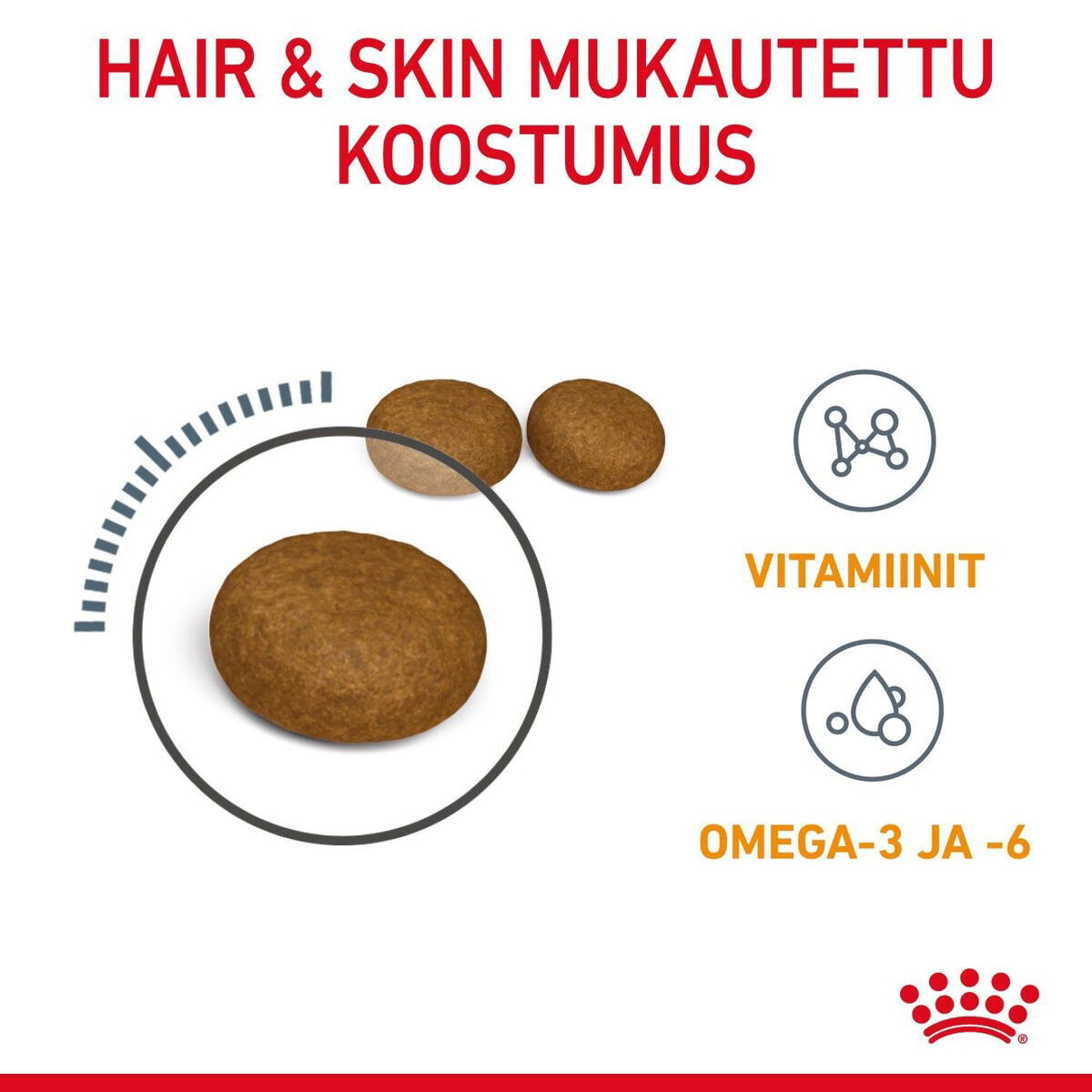 Royal Canin Hair & Skin Care Adult kissan kuivaruoka