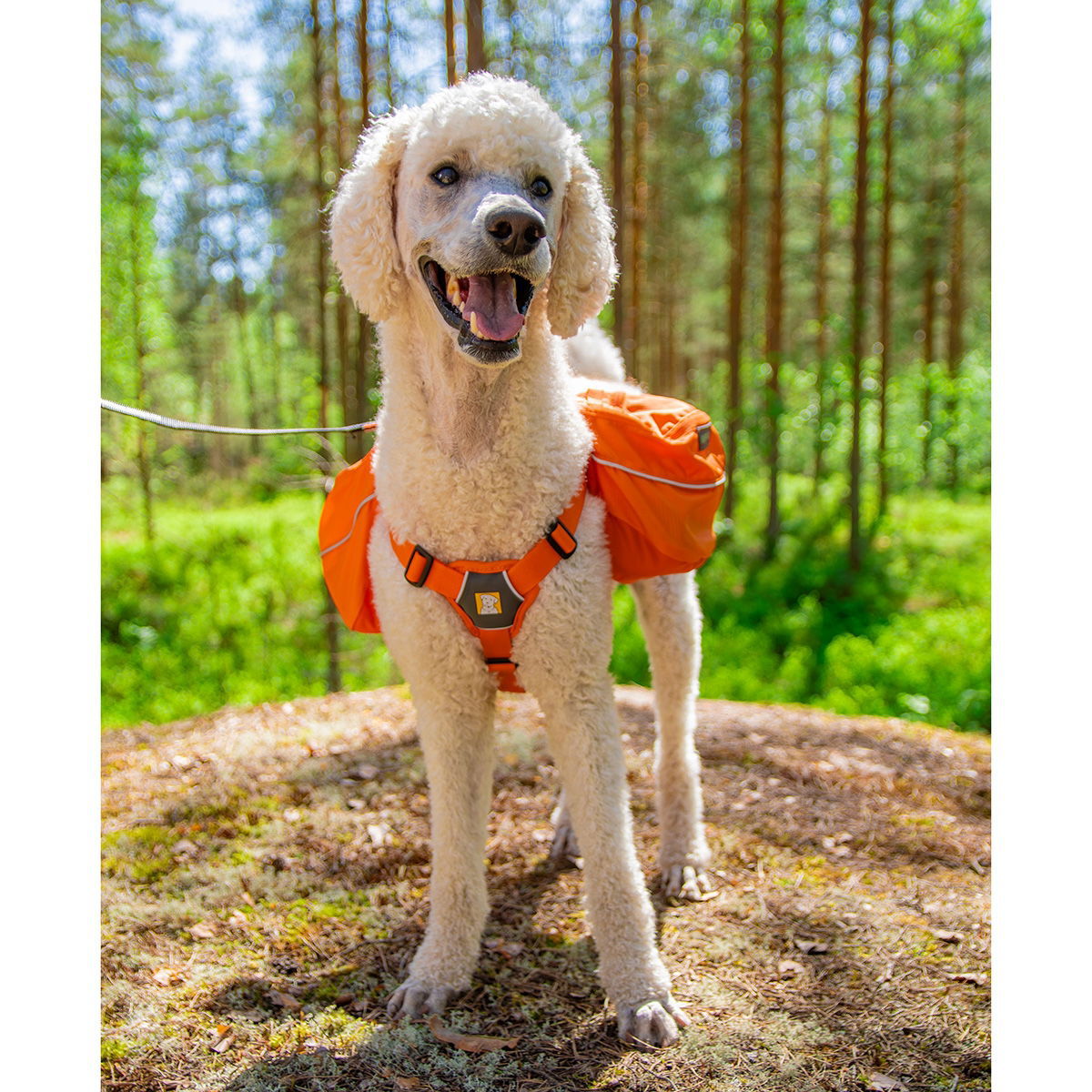 Ruffwear Approach Pack, Campfire Orange