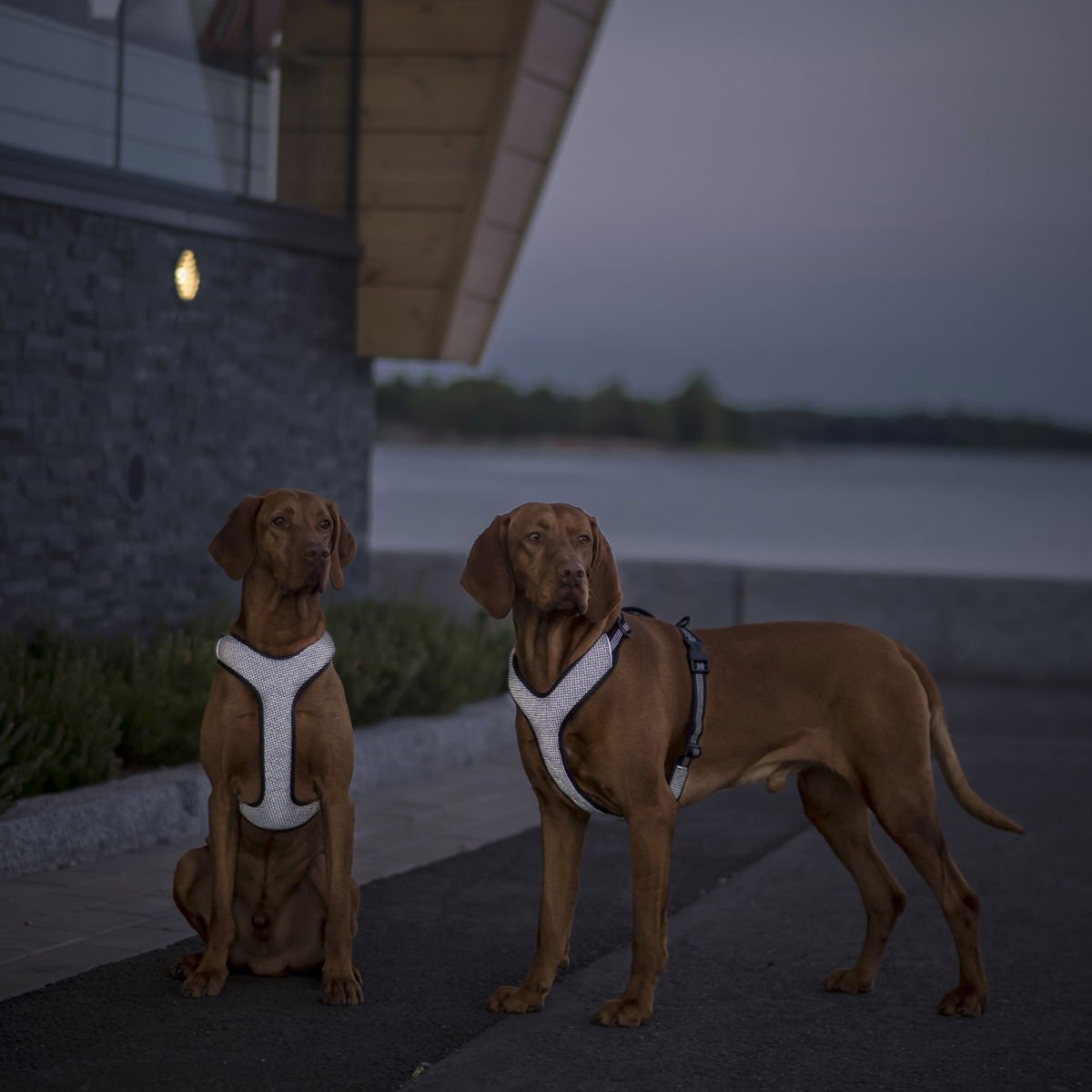 Feel Active Reflective heijastinvaljas musta