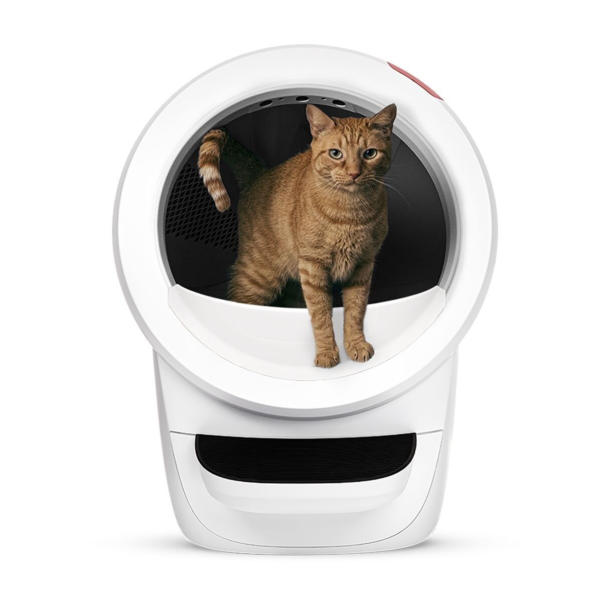 Whisker Litter-Robot 4, white