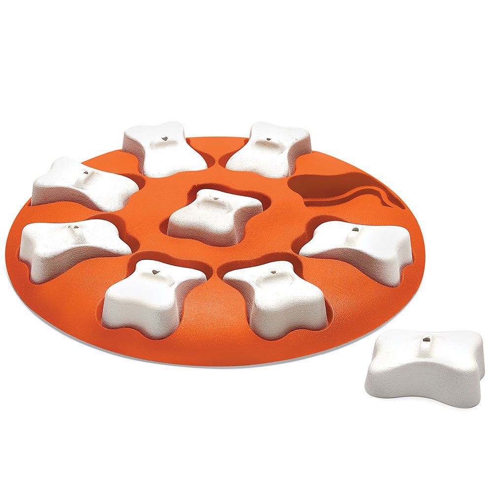 Nina Ottosson Dog Smart -aktivointilelu oranssi