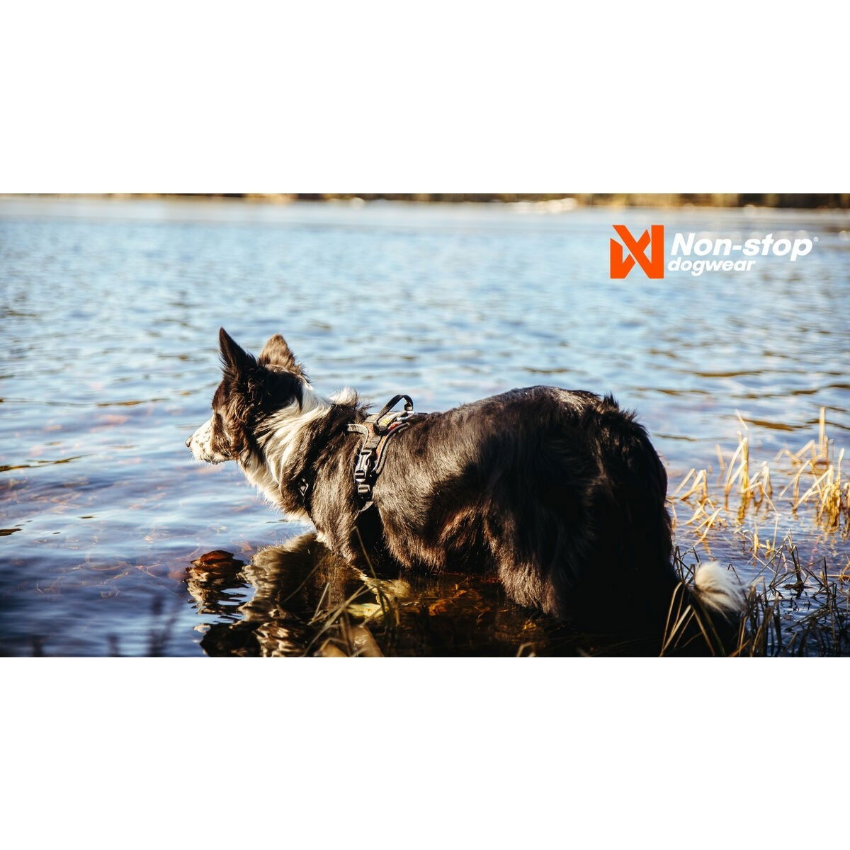 non-Stop Rock valjas musta/oranssi