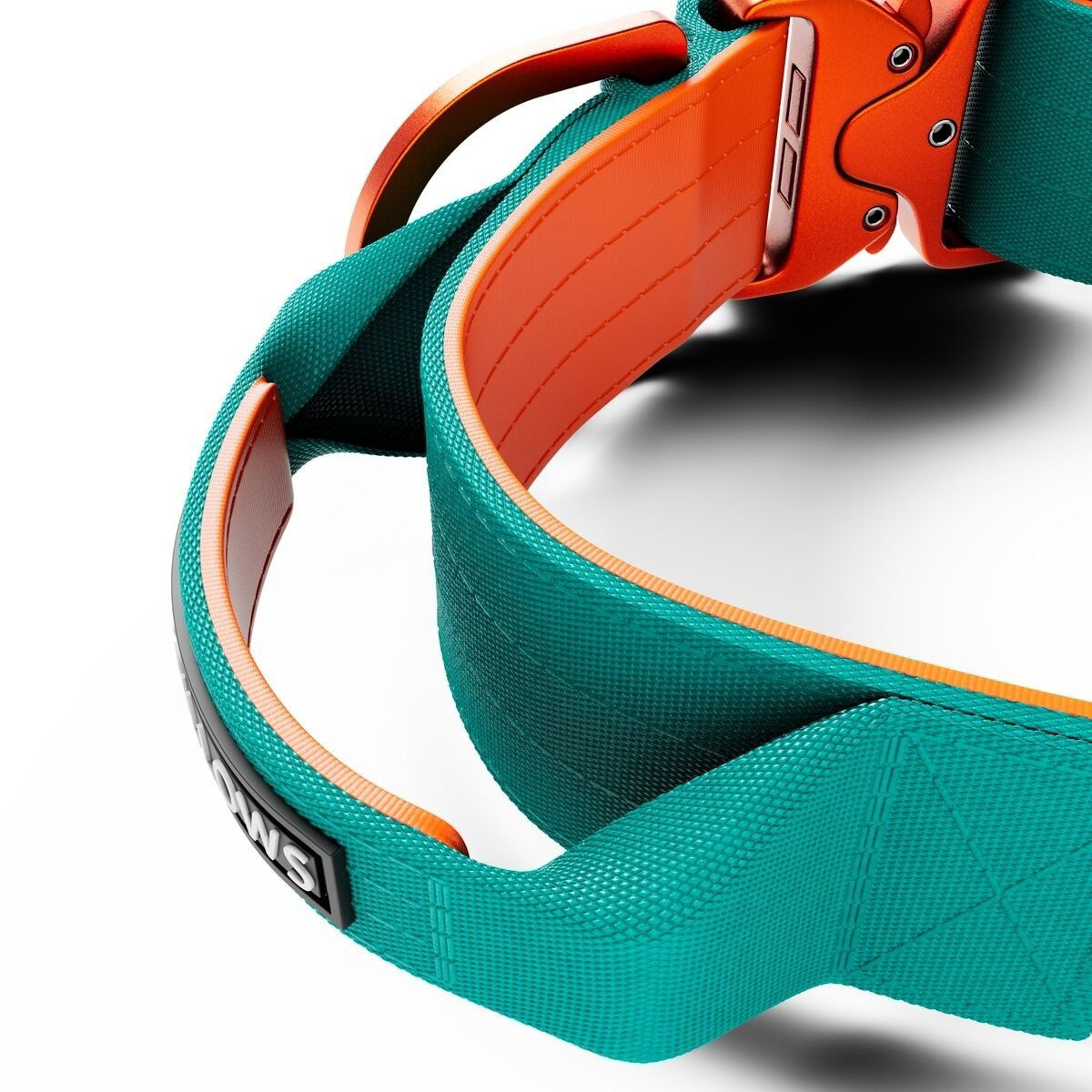 BullyBillows Combat Collar With Handle Turquoise & Orange 5cm