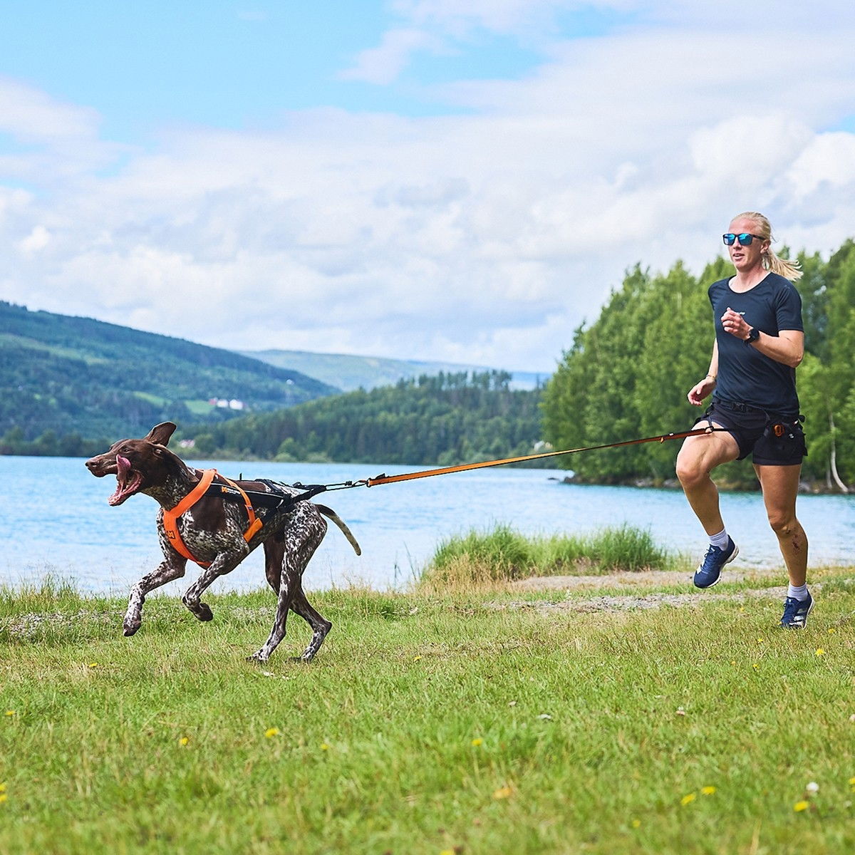 Non-Stop Freemotion valjas 5.0 musta/oranssi