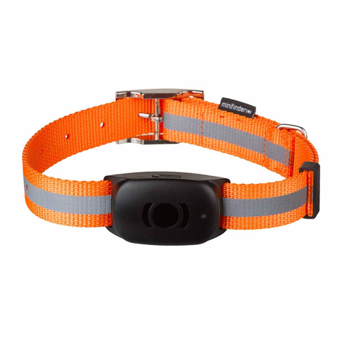 MiniFinder koiran panta 65 cm x 2,5 cm