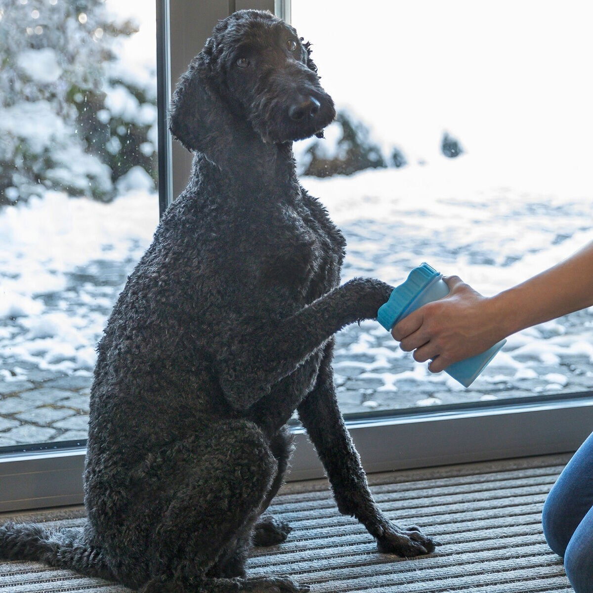 Trixie Paw cleaner, blue