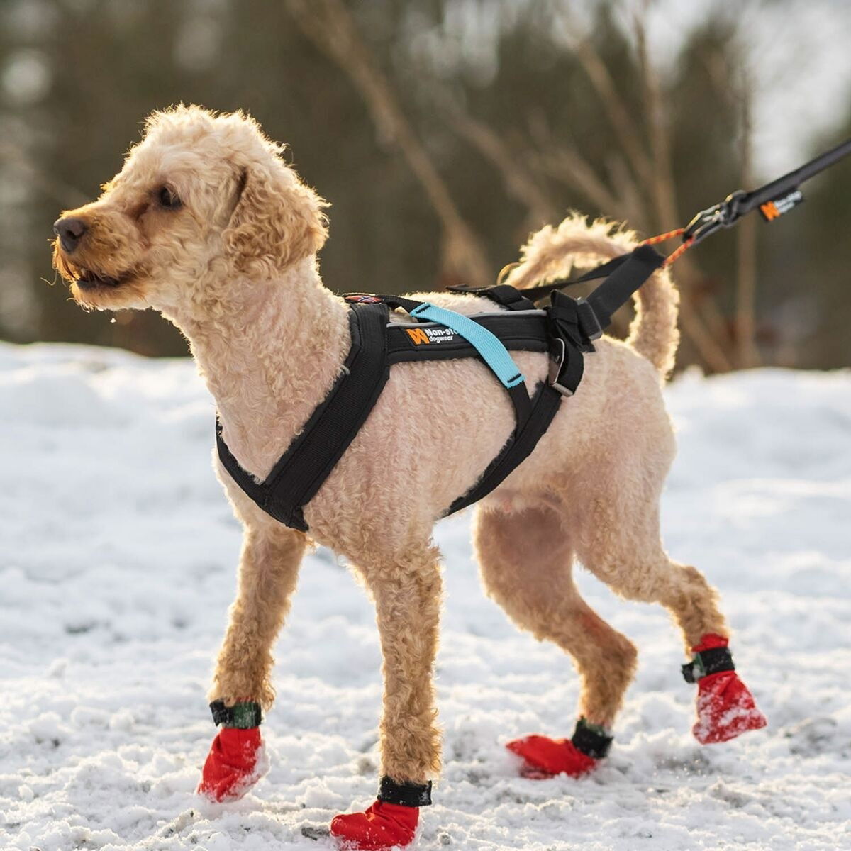 Non-stop Freemotion vetovaljas