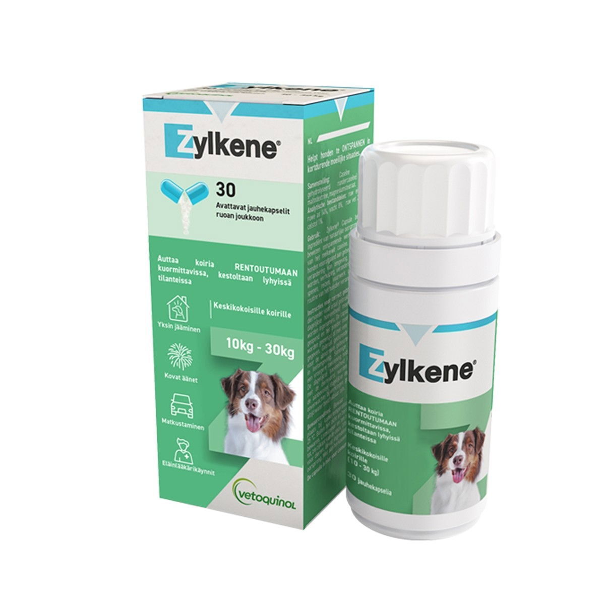 ZYLKENE 450 mg kapselit 30 kpl