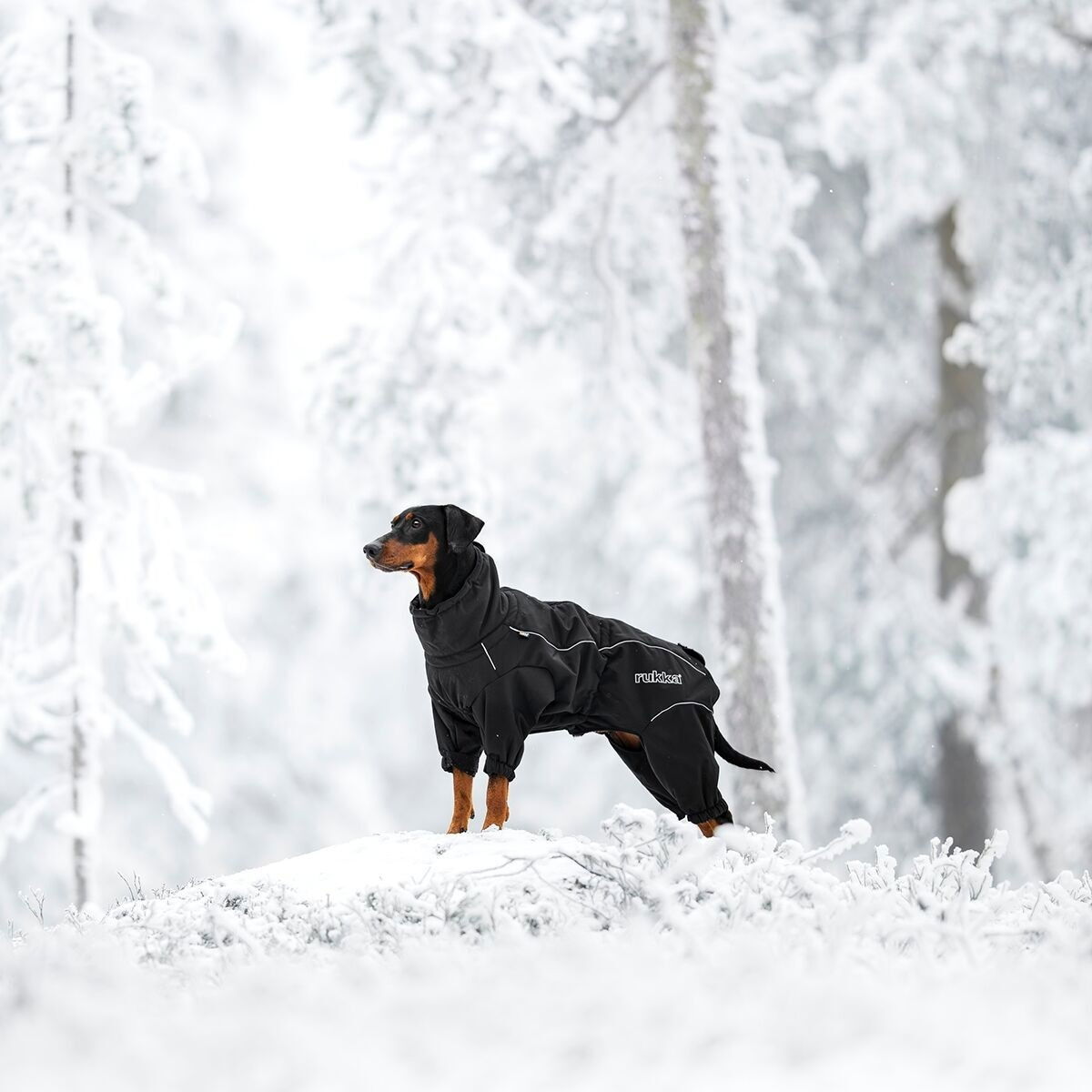 Rukka Thermal 2.0 haalari musta