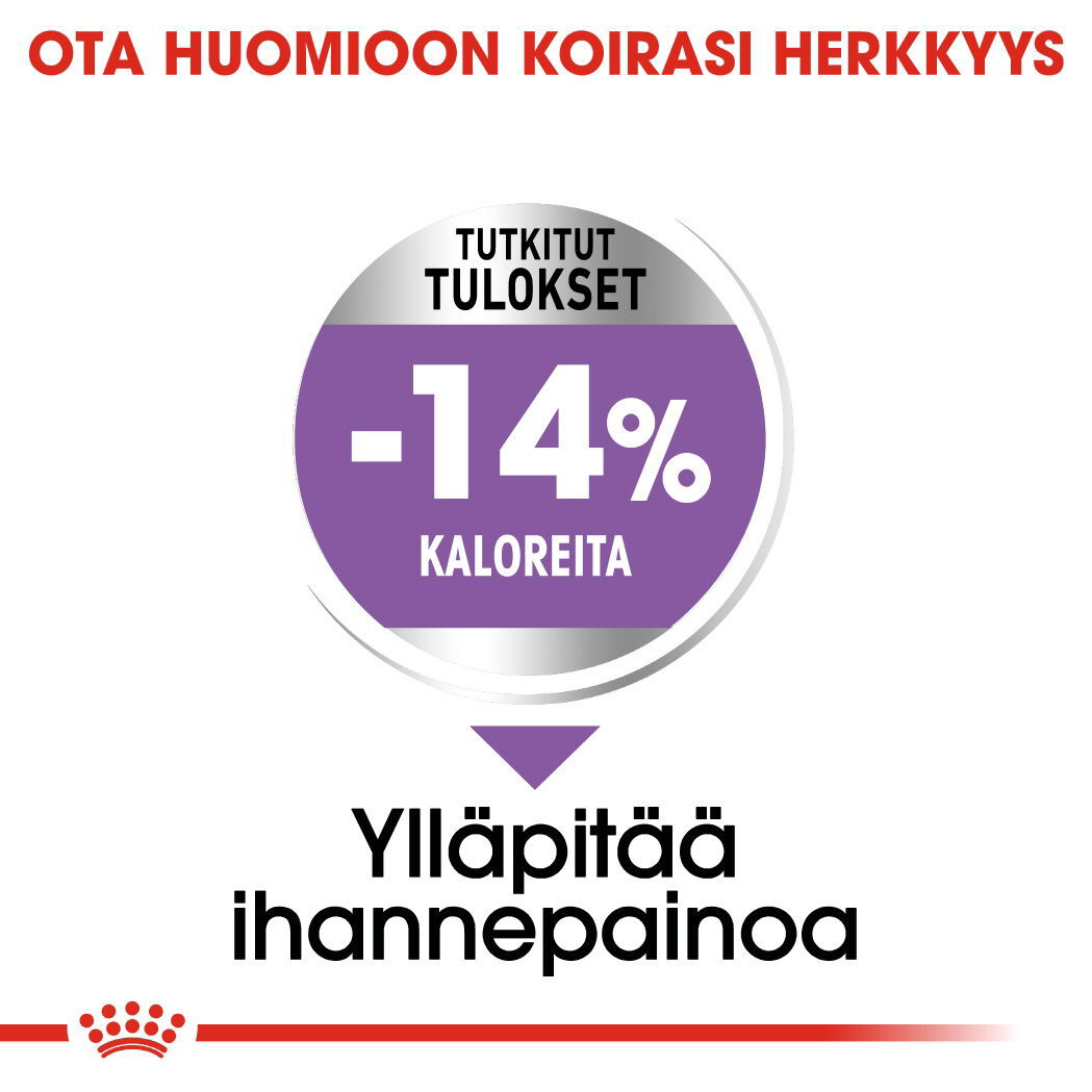 Royal Canin Sterilised Maxi Adult koiran kuivaruoka