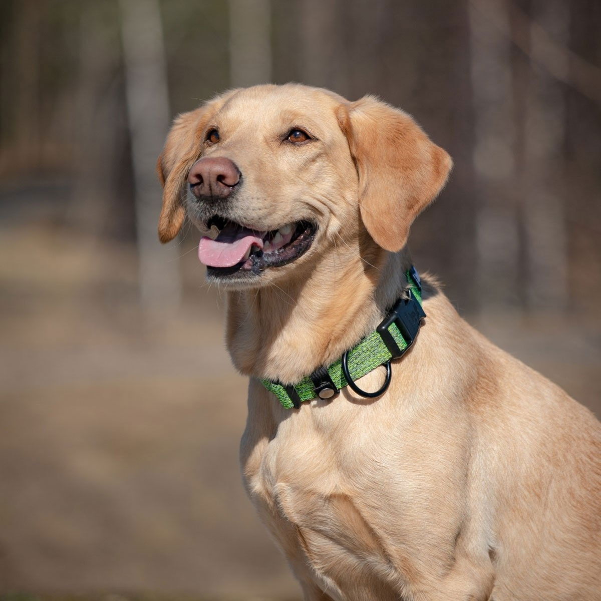 Feel Active Padded panta metsän vihreä