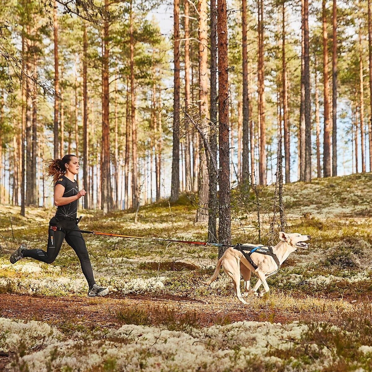 Non-stop Freemotion vetovaljas