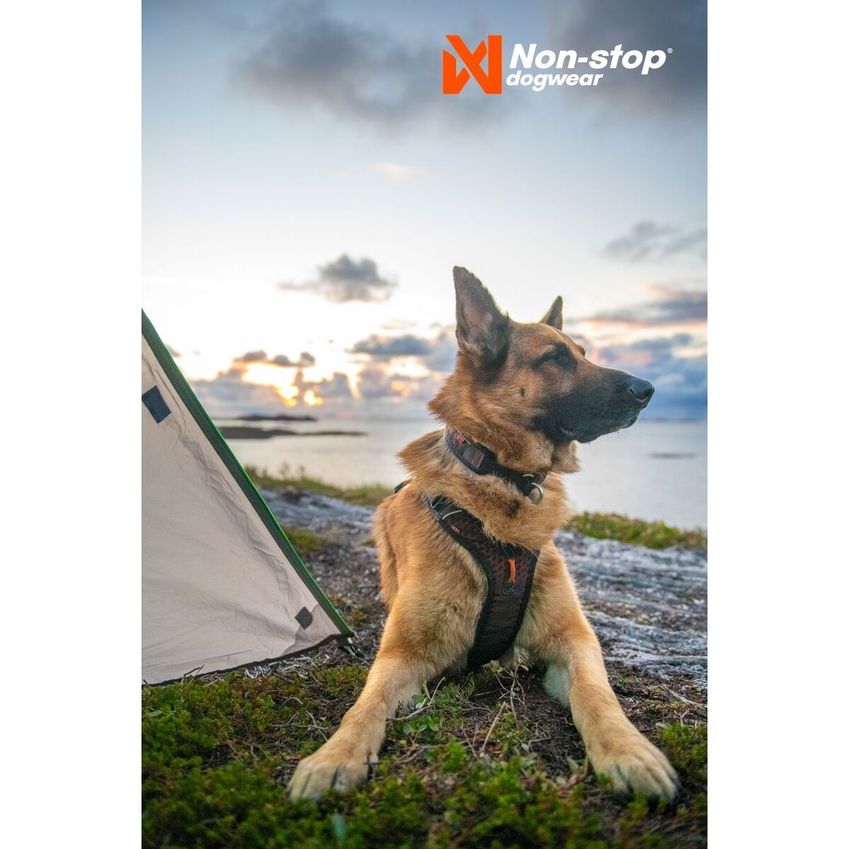 non-Stop Rock valjas musta/oranssi