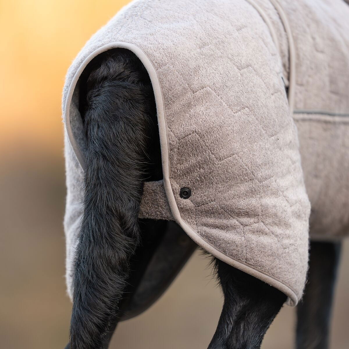 Non-stop dogwear Drying takki hiekka