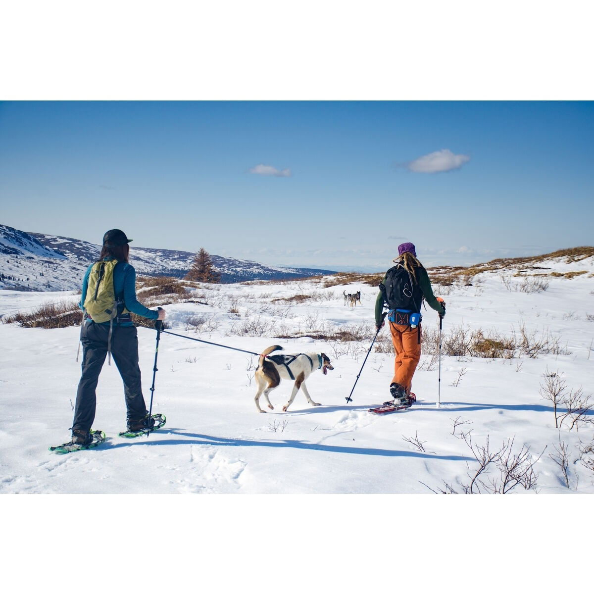 non-Stop Ferd vetovyö