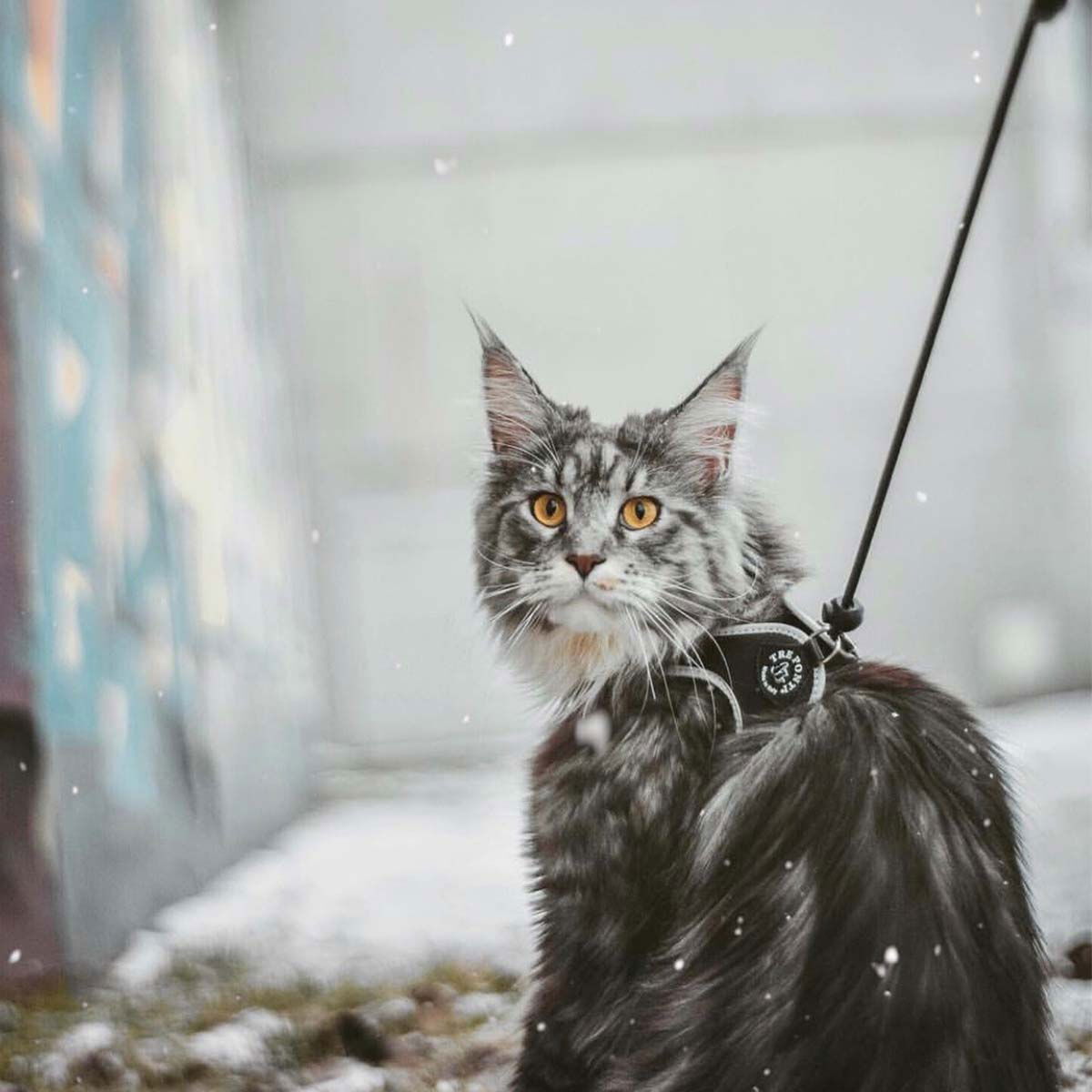 Tre Ponti Sele Basic Svart nr.1